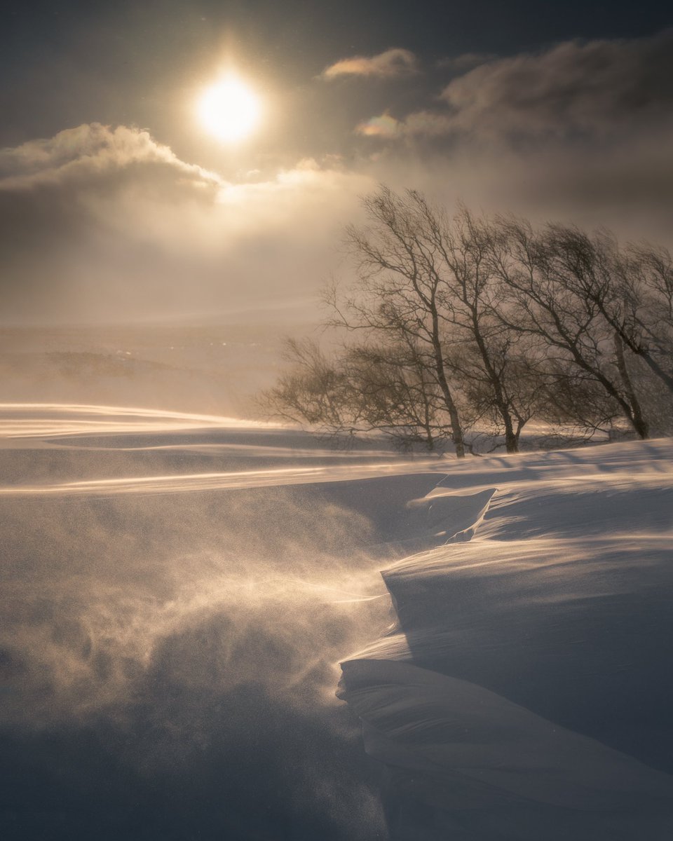 KennethLerose's tweet image. Hey Photographers…
Warm……………..OR……………Cool?