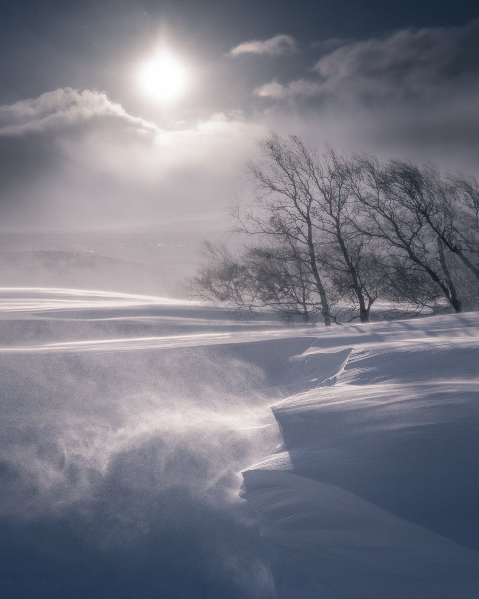 KennethLerose's tweet image. Hey Photographers…
Warm……………..OR……………Cool?