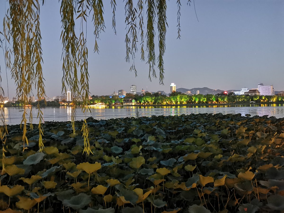 baixq's tweet photo. landscape of lakes and hills in Daming Lake https://t.co/2IMcouHKD5