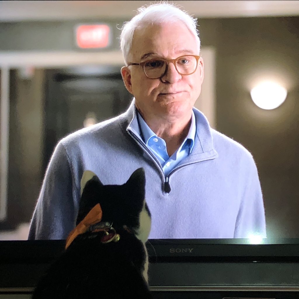 JaneKMeowling's tweet photo. Watching #onlymurders with the humans. https://t.co/piXvpMSTRO