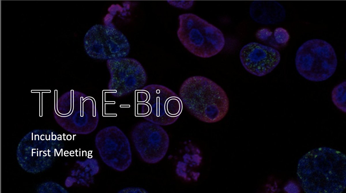 TUnE-Bio tweet media