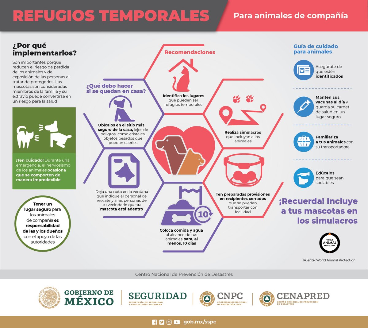 CNPC_MX's tweet photo. 🦺 Evalúa tu respuesta ante #emergencias y #desastres ¡No olvides a tus mascotas 🐶, son parte de tu familia! 

👷Sigue estas recomendaciones para protegerlas y participa en el #SegundoSimulacroNacional2021.

🗓️Domingo 19 de septiembre,⏰11:30 h. https://t.co/plfU0aqGMz