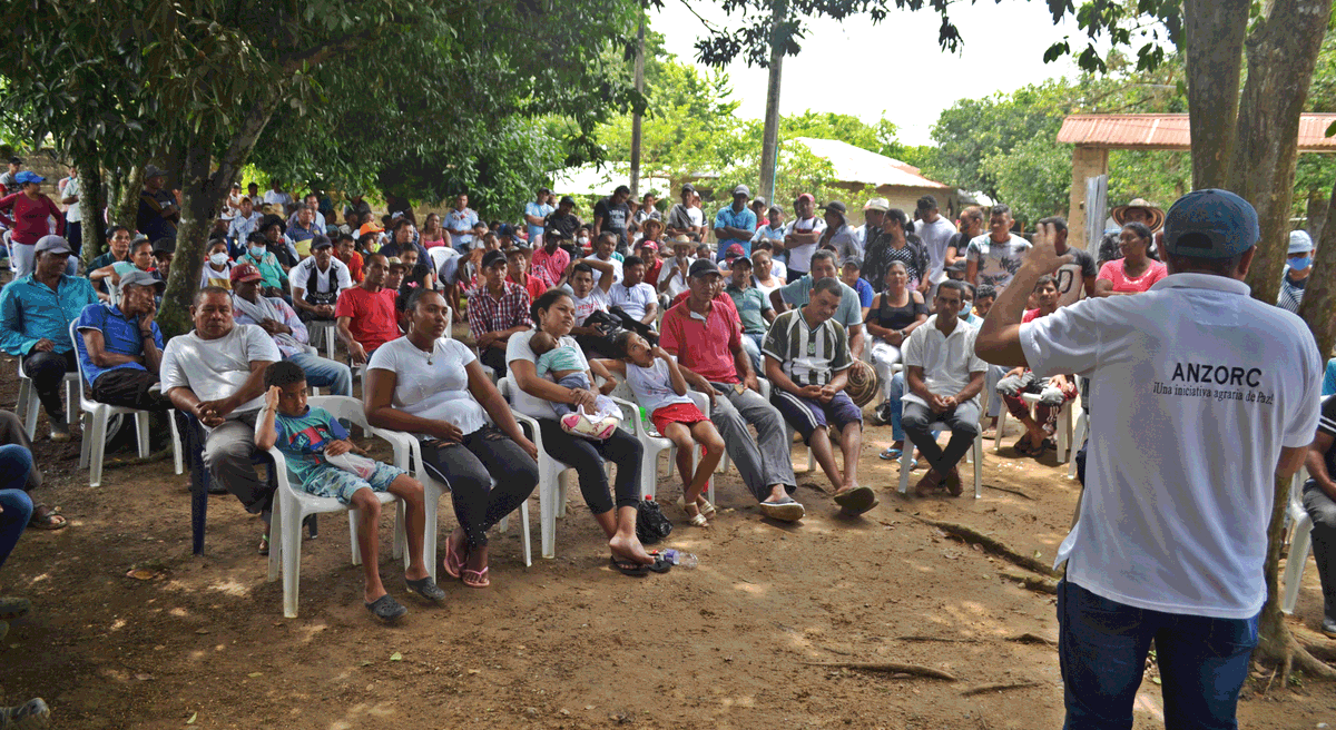 ascsucor_org's tweet photo. 𝐀𝐒𝐀𝐌𝐁𝐋𝐄𝐀 𝐂𝐀𝐌𝐏𝐄𝐒𝐈𝐍𝐀
hoy 7 de septiembre nos reunimos con comunidades campesinas del Corr. Tierradentro, concertando acciones para la exigencia de la implementacion del PNIS tal y como fue consignado en el AFP.
#ImplementacionYa #LondoñoMentiroso!! https://t.co/u5iD8M0u55