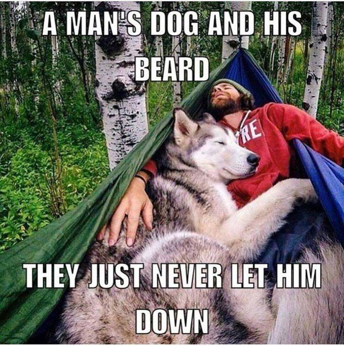 beardoholic's tweet photo. A Man's Dog and His Beard
They Just Never Let Him Down.
#BeardLove #BeardsAndDogs https://t.co/CNvrEBjE36