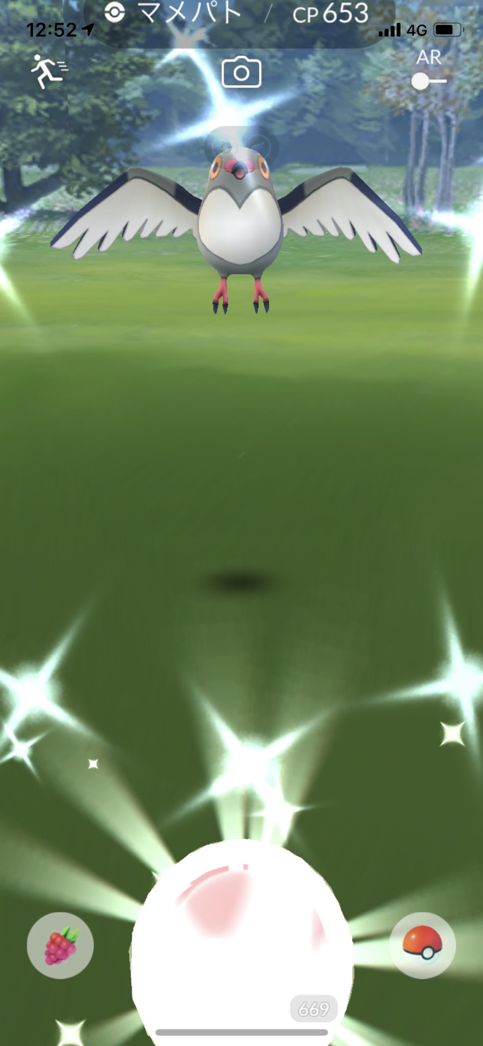 تويتر あやごん على تويتر 色違いのマメパト確かにハトーボーにすると緑だったからそれにしたいけどオスメスで色変わるからわからん T Co Er7xoidfd0