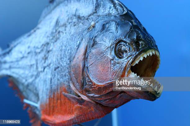 kriscat023's tweet image. undertale fans are like "no way"