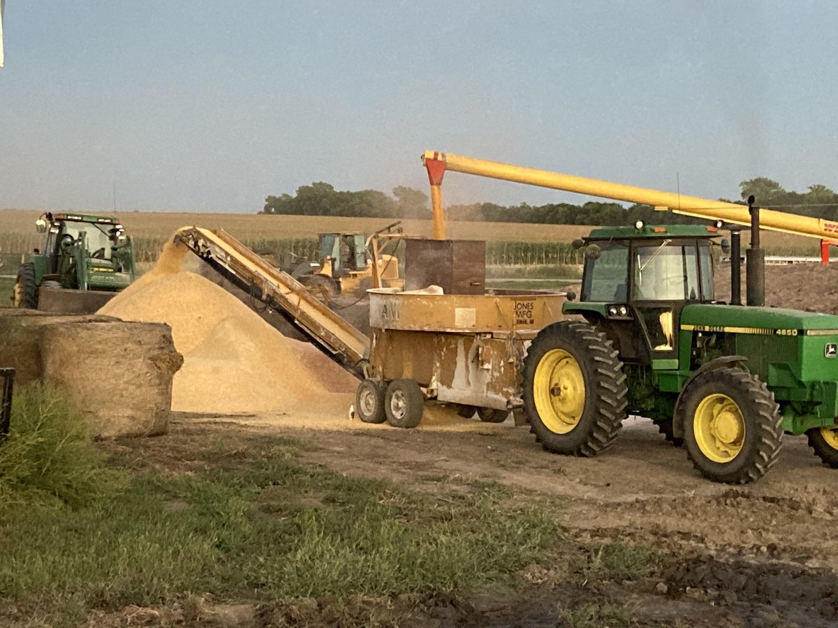 Cattle feeder rut setting in hard. More than enough bin room-could easily keep this crop liquid in case it does go to $9 but if you want to take the island, you burn the fucking boats, right?!?!?
