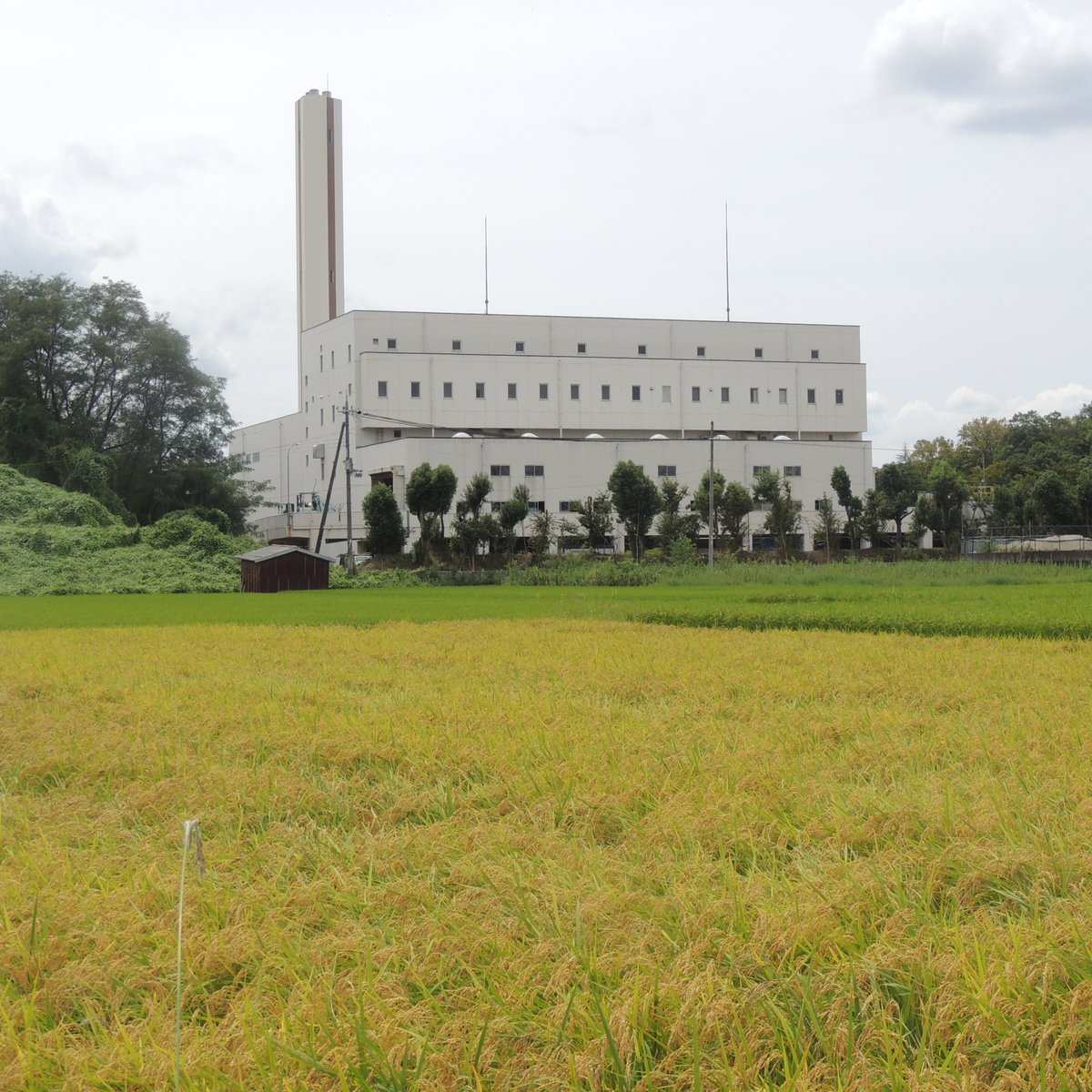 広域化