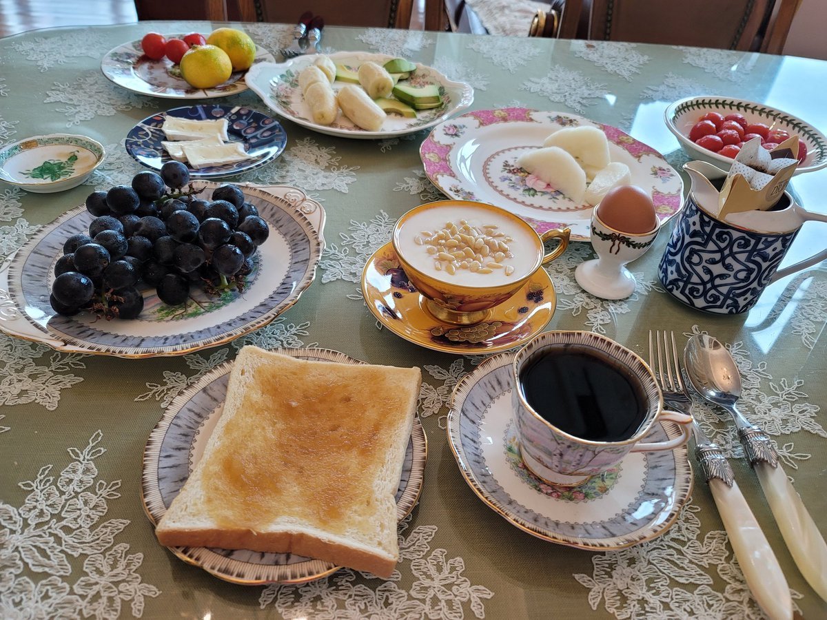 가을에 어울리는 실버버치
Silver Birch