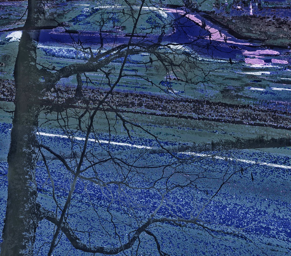 hte.lacigolopot tweet media