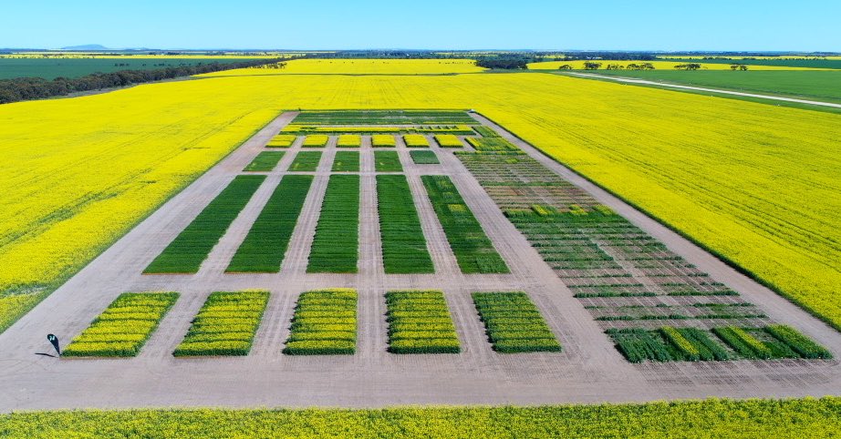 Patrick Head tweet media