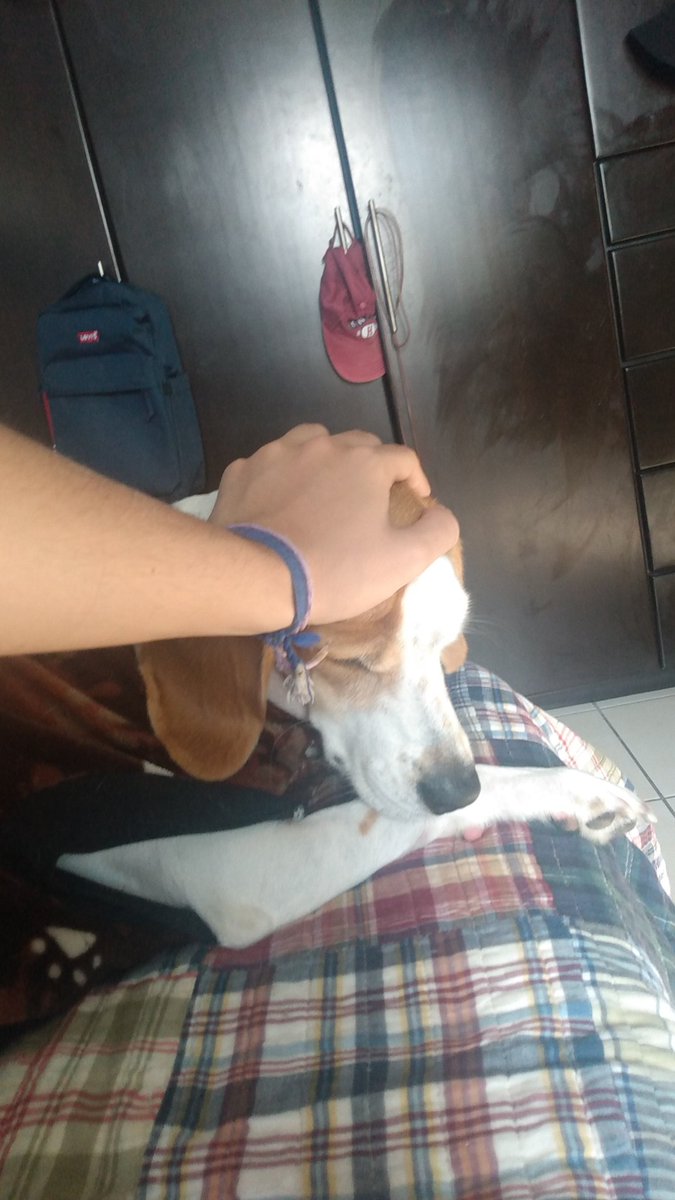fertolomeo's tweet photo. Textraño bola de pelos u_u https://t.co/fA9bDEYgO9