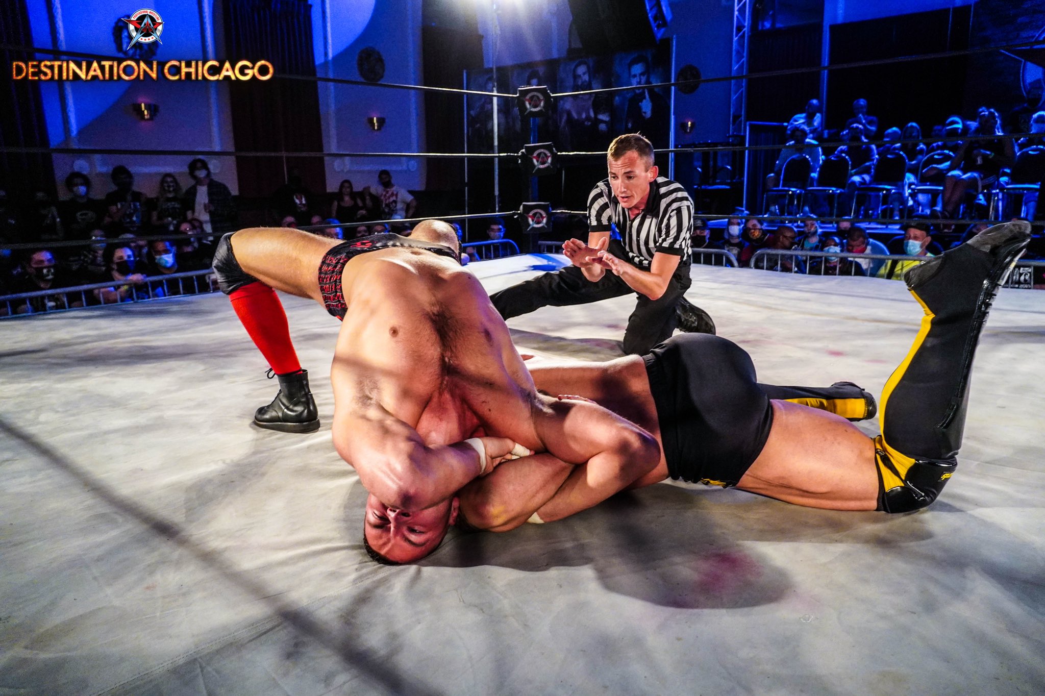 Watchwrestling247 hot sale