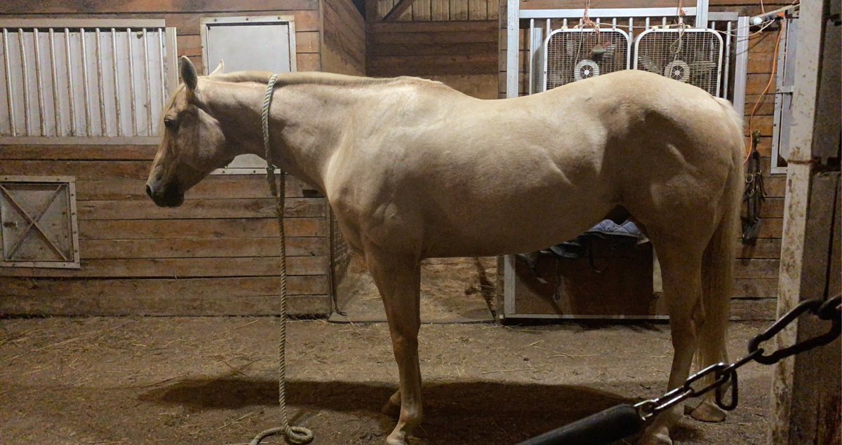 He’s 18 and just…looks so good 
Very proud