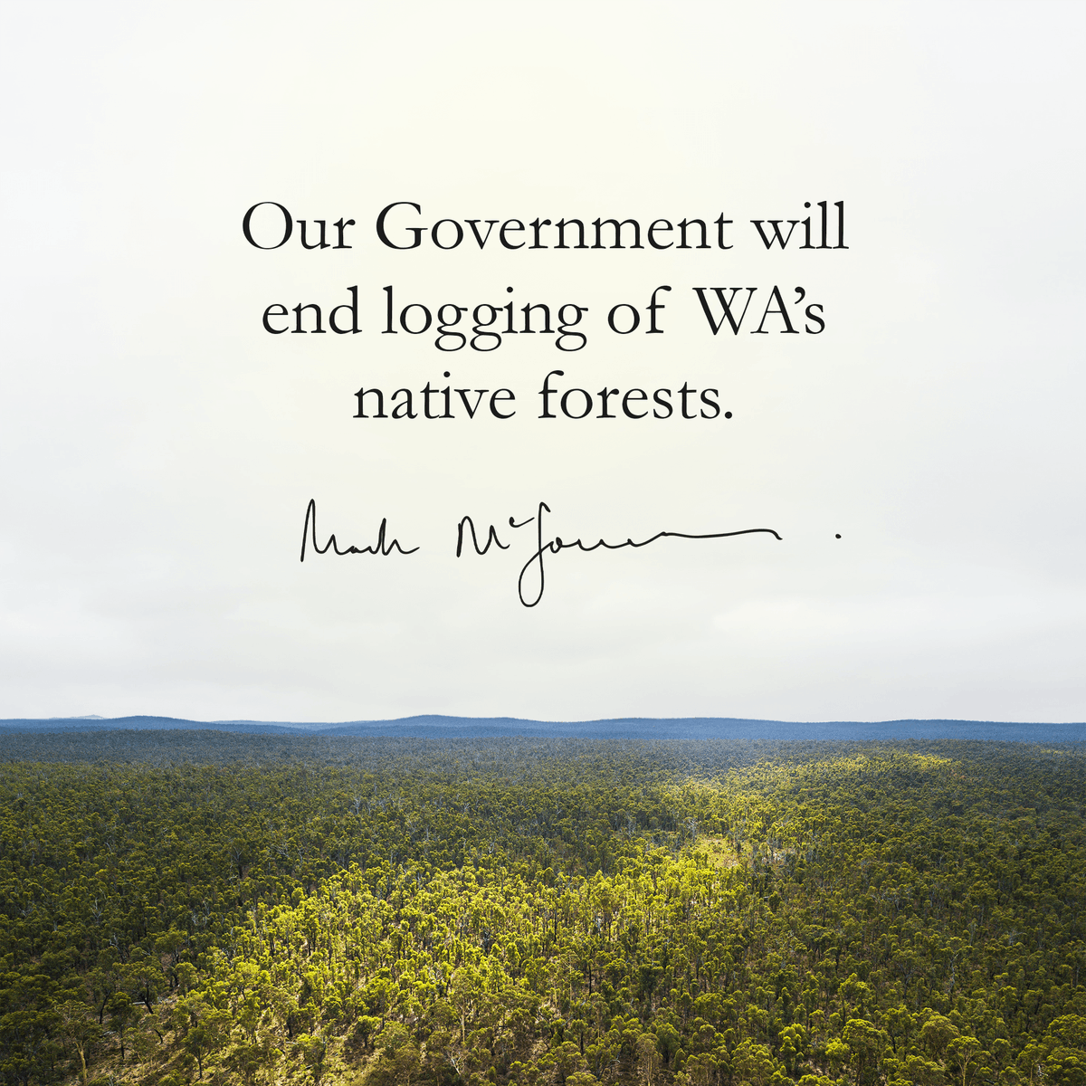 Our native forests are unique, beautiful and important, particularly in the fight against climate change.

And today we've announced our plan to end the logging of our native forests – ensuring a total of nearly two million hectares will be protected for future generations.