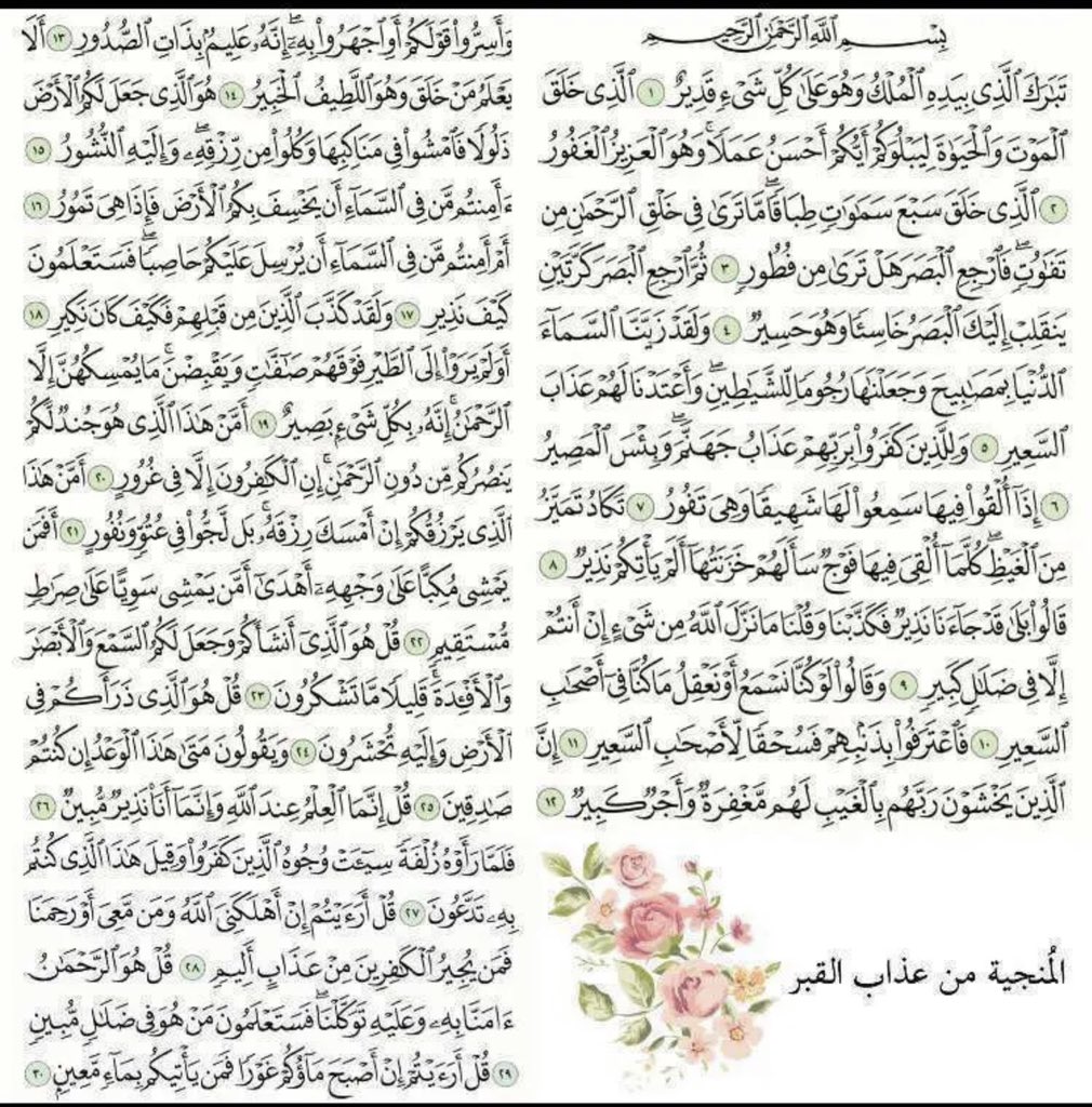 samasmr22's tweet photo. - لعلها تكون المِنجيه🤍. https://t.co/Wj54VTHo7W