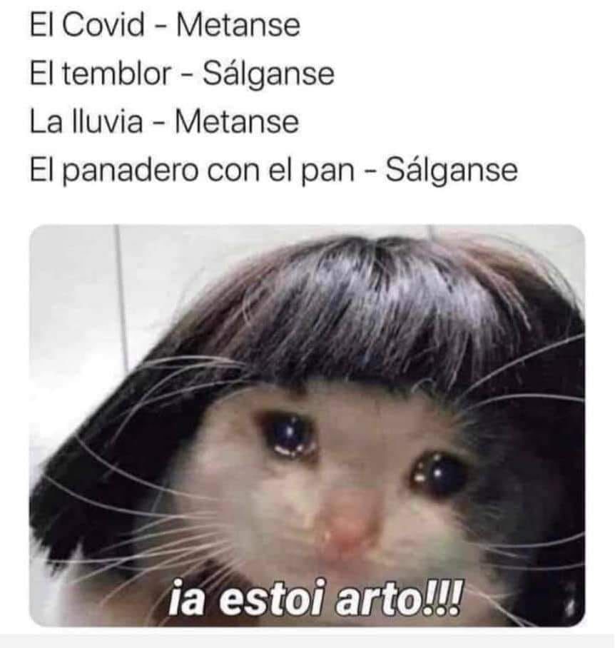 Gera_Marc's tweet photo. #sismo https://t.co/1YlAT9RBEo