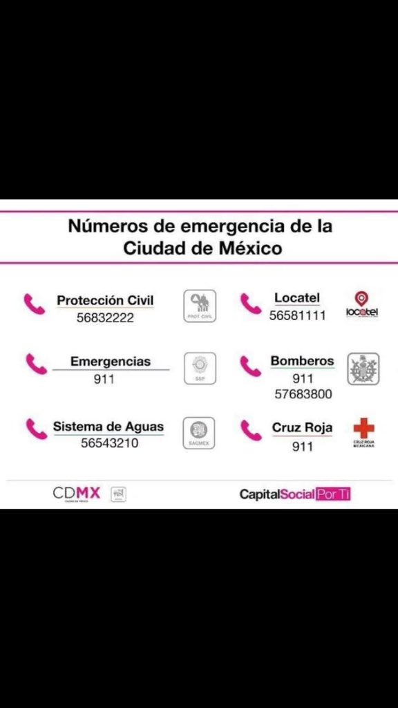 Cecilia Galliano tweet media