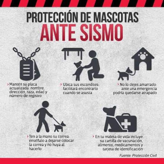Les dejo lo que tienen que tener en su mochila de emergencia y en la de su mascota 
#Temblor #Terremoto #Sismo