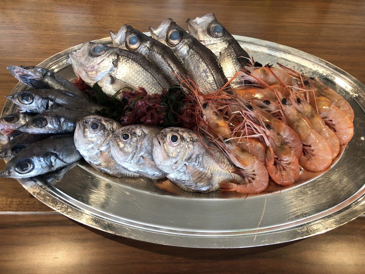 とと日誌 魚と 展 仕掛人 Fishlife Toto Twitter