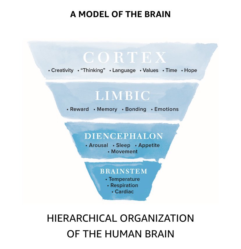 Renée Villeneuve tweet media