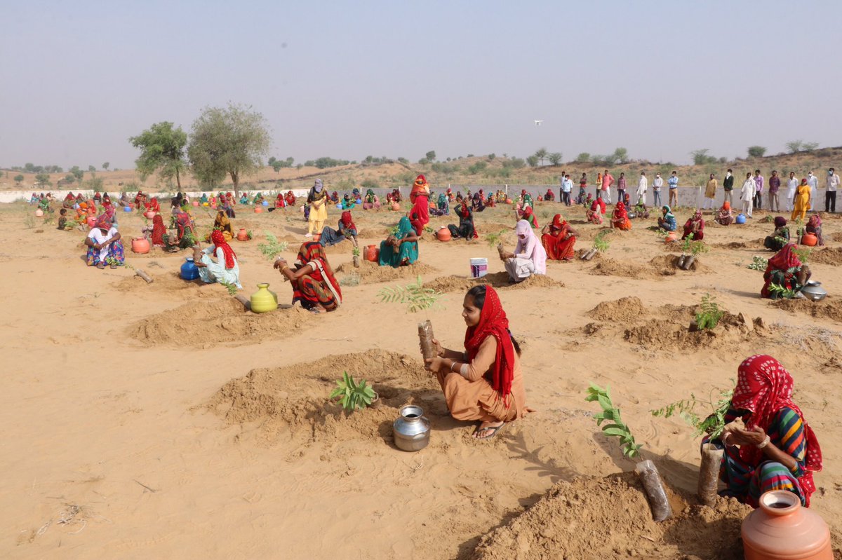 HabitatHealer's tweet photo. #InternationalLiteracyDay provides an opportunity to discuss how innovative and effective pedagogies can be used to make people #ClimateLiterate so that they could face the pandemic and develop #ClimateChangeResilience. #FamilialForestry @dw_environment @guardianeco @UNESCO https://t.co/0HZ6Eqc7E0