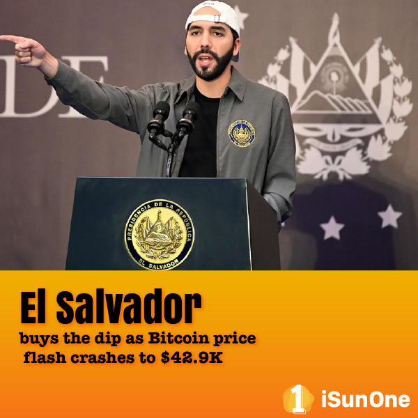 iSunOne1's tweet photo. #iSunOne daily news 9.8
Volatility returned to the #cryptocurrency market in a "buy the rumor, sell the fact" scenario for #Bitcoin. #ElSalvador appears unfazed, as President #Nayib Bukele bought the #dip.
#startup #startups #fintech #entrepreneur
#bitcoin #blockchain #crypto https://t.co/asAc3UsZPO