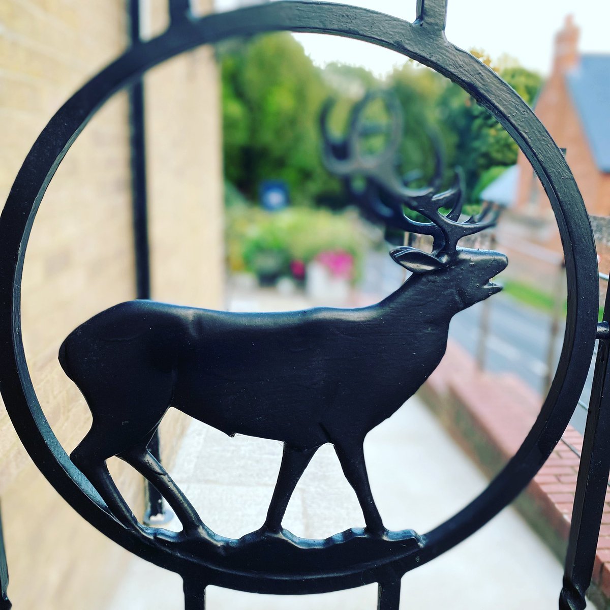 StagatMentmore's tweet photo. #stag #mentmore #pub #beergarden https://t.co/UakehcW1qk