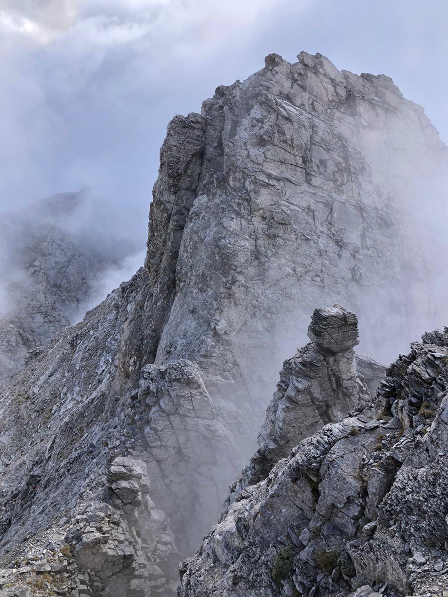 Mountain Path tweet media
