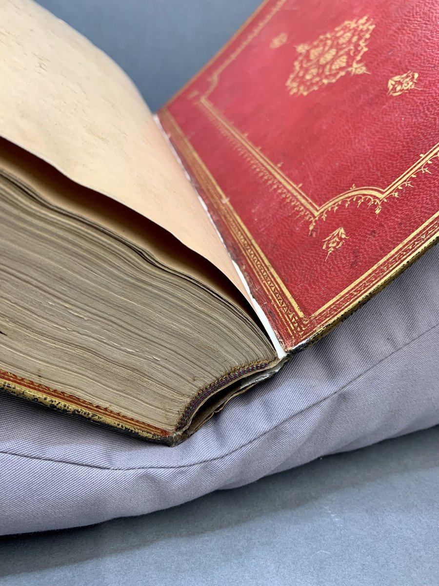 iamkristinesr's tweet photo. And breathe!
The elderly spine of this binding is a little more comfortable after conservation. The treatment was a compromise, but avoided a very interventive rebinding.
@CBL_Dublin Is 1561 📚(Qur’an, dated 1125/ 1713, Iran)
#Islamicmanuscripts #midweekmanuscript https://t.co/3FQtojDOpj