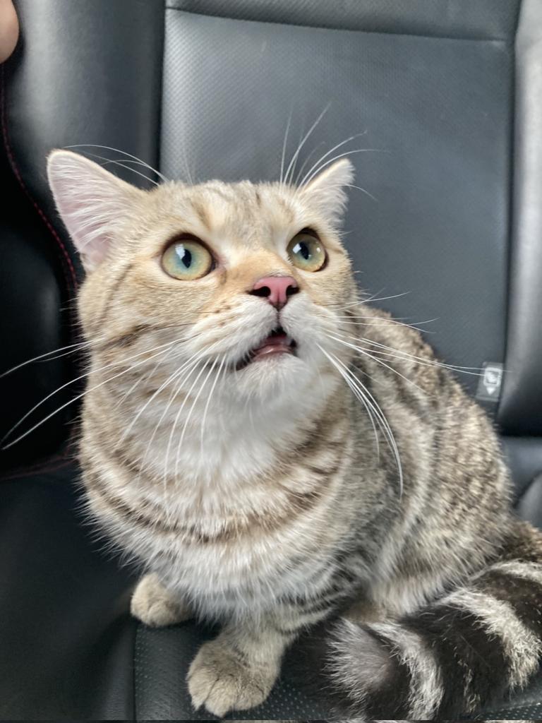 อย่าแซวหยอง หยองไม่ได้จี้แตกแก้ข่าวด้วยหยองมูหูแล้วนะ