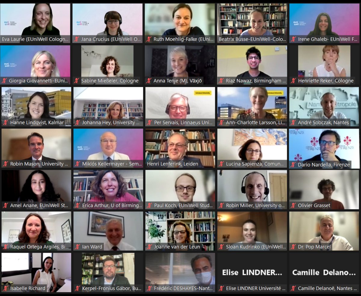 EUni_Well's tweet photo. On Monday, Civic Leaders from cities across Europe came together online for the first #EUniWell Mayors' Meeting. We thank all participants for investing their time to get to know each other and to explore how we can co-create #wellbeing together. #EUnited4Wellbeing #moretocome https://t.co/jasVHspQ4f