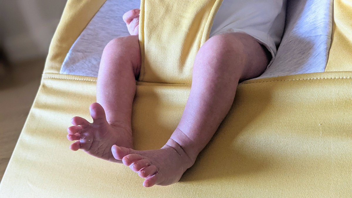 Nicolás Patarino - Chimichurri Code tweet media