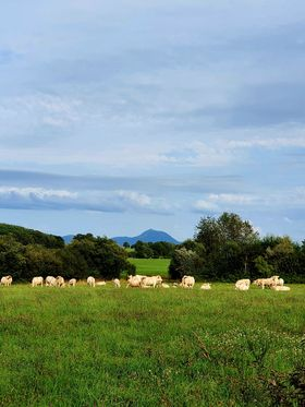 Chaîne des Puys tweet media