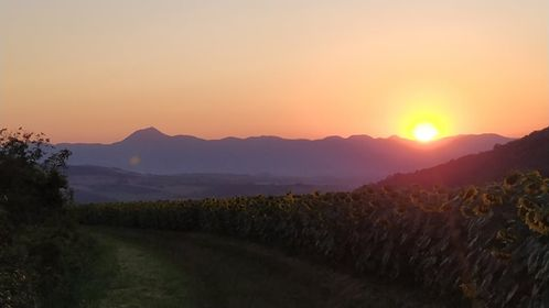 Chaîne des Puys tweet media