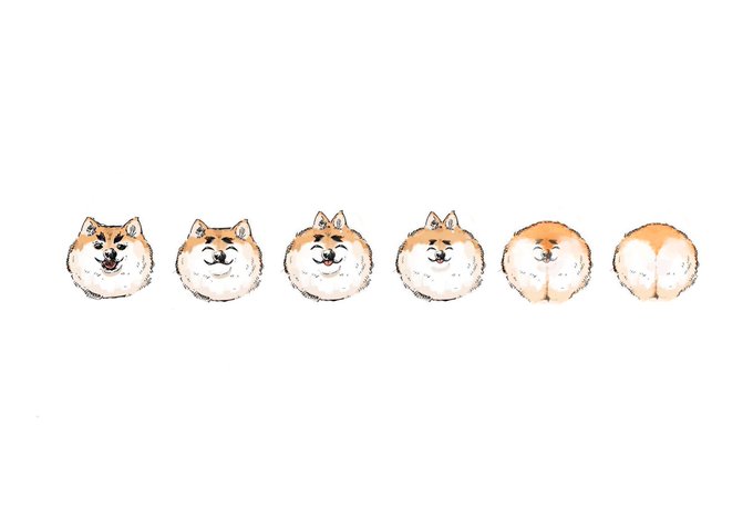 「shiba inu simple background」 illustration images(Latest)｜21pages