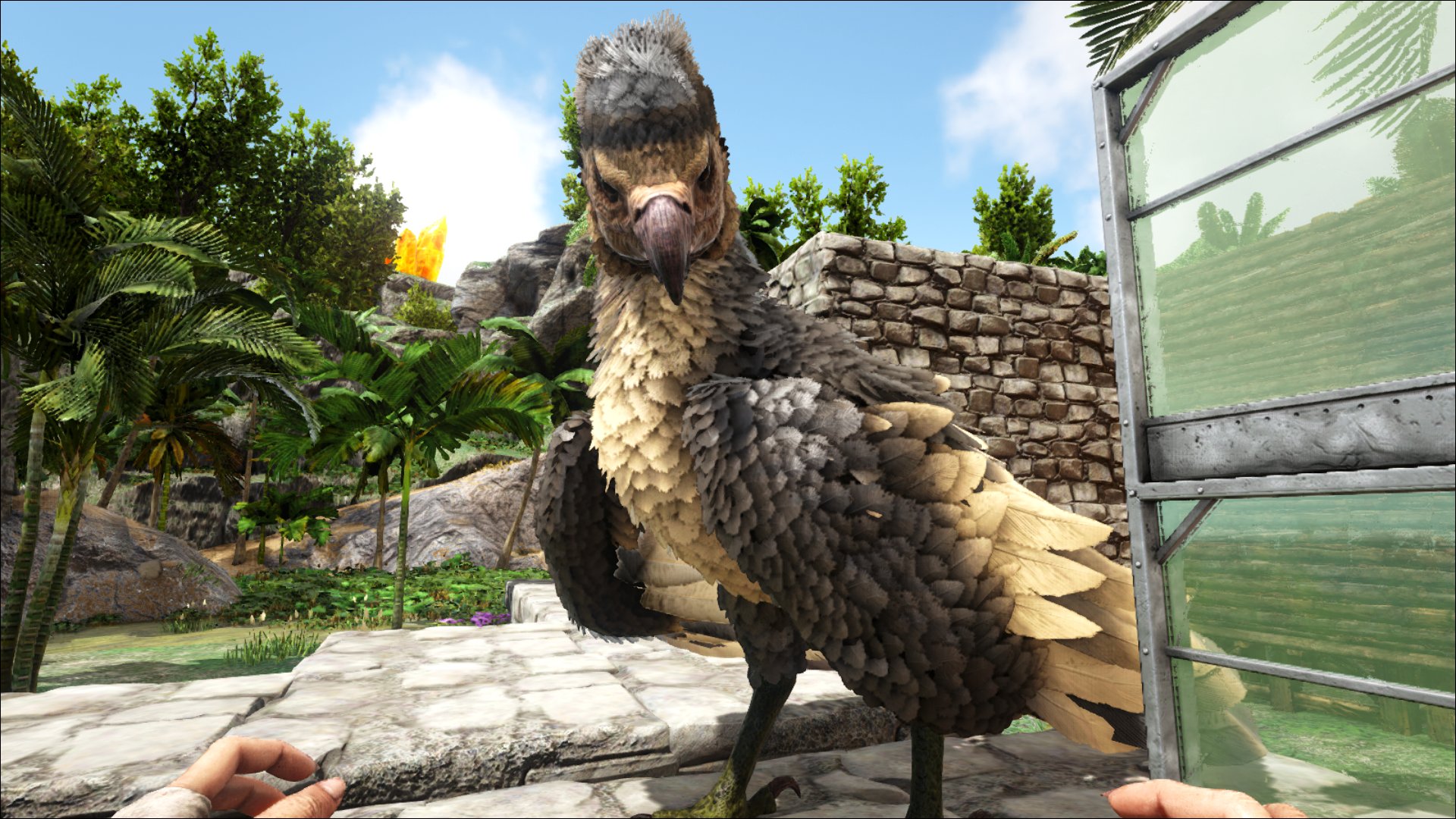 あるる Ark ライズ Pc版ハマり中 Oo Thubaki Kuuuu 所有権放棄 そっか ノラさんがいるとそういうことあるんですね レベル低くてもまずは自分でテイムしたい W でも来てくれた恐竜ちゃんは大事にしたい 複雑な気持ちめっちゃわかり