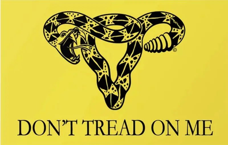 LabelsRejected's tweet image. This is a modern representation of Gadsden flag that I can get behind.  

Redesign was done by Artist Anne Lesniak