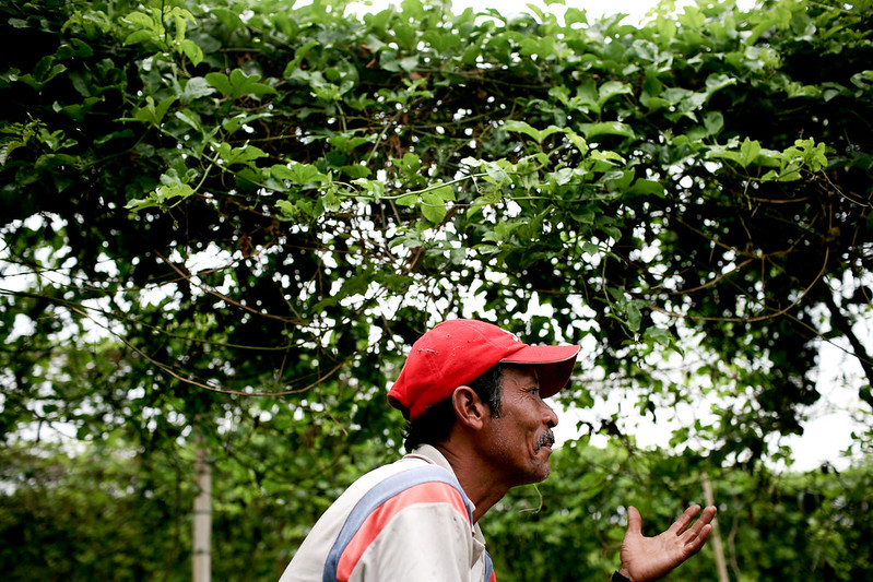 WBG_ClimateEnv's tweet photo. New #LessonsLearned @gfoi_forest @WBG_Climate publication: Don’t miss the 11 recommendations on how to support tropical countries to monitoring their #forests and greenhouse gas emissions. https://t.co/PBEwLyva2R #GFOI2021 https://t.co/ZOcVkjX1HN