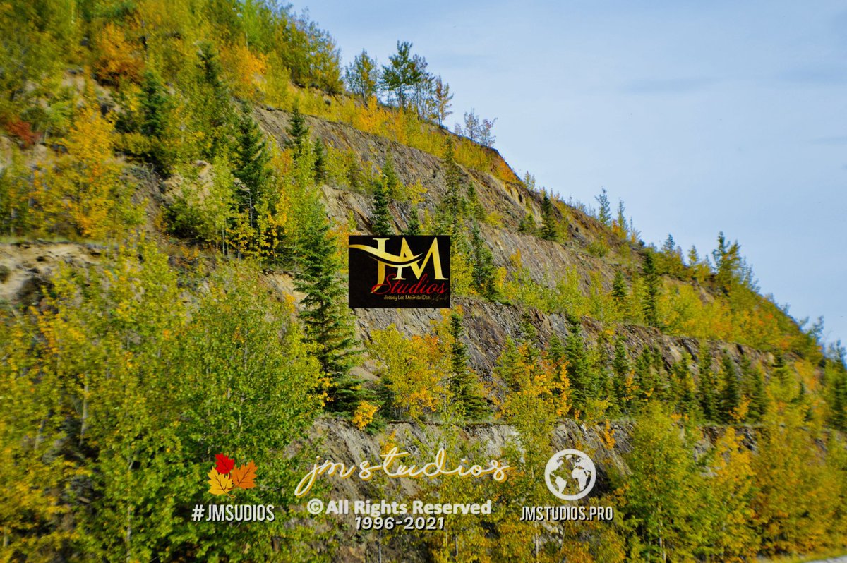 LeoJessiey's tweet photo. It’s turning so fast we are barley able to get a nice field of yellow. Don’t forget to follow me. I follow back. https://t.co/280I6Lw6YU
#jessiey #photography #NaturePictures #nature #wildlife #Alaskawildlife #docjessiey #jmstudios #natgeo
https://t.co/rLil7hIpyQ https://t.co/9jyjejo7qg
