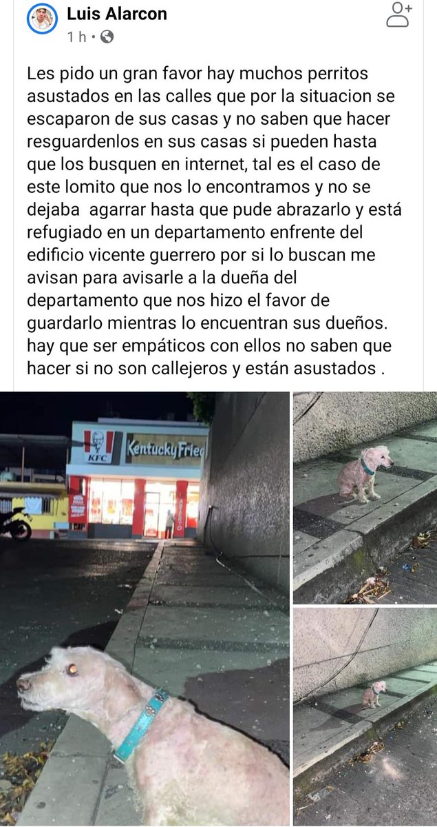 Liss Martínez tweet media