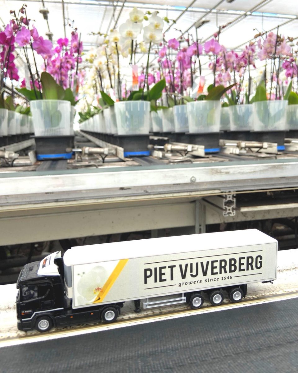 We have many forms of transport such as internal transport in the nursery and external transport on the road to get our top quality plants to our customers daily 🤩 For the last one we have a longstanding and good cooperation with <a href="/DeWinterLog/">De Winter Logistics</a>. Thanks for the miniature truck.🚚