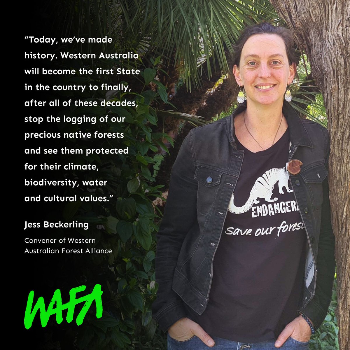 waforests's tweet image. BREAKING NEWS:
Premier McGowan has just announced that native forest logging will end by January 2024. Read more through our latest media release: wafa.org.au/media-releases/