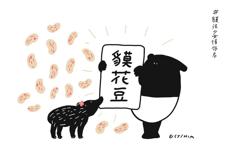 laimojp's tweet photo. 先日台北市立動物園で誕生したマレーバクの女の子。
皆さんからのたくさんの投票のおかげで（１４万票!!ありがとう!!)、今回もChenrgが名付け親になることができました！お名前は「貘花豆」よろしくね❤️
#LAIMO ＃ライモ #マレーバク #TaipeiZoo  #台北市立動物園 #動物 #名付け親 https://t.co/FAILutpZkK