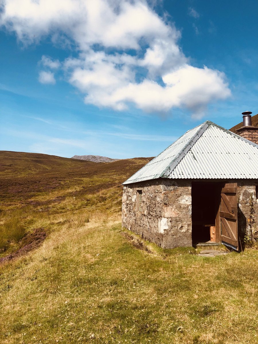 Carolyn Morrice tweet media