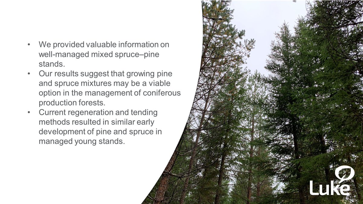 Our new article:
Development of young mixed Norway spruce and Scots pine stands with juvenile stand management in Finland

doi.org/10.1080/028275…
#LukeResearch #ResearchHighlight #forest
#mixedforest #SEKAVA