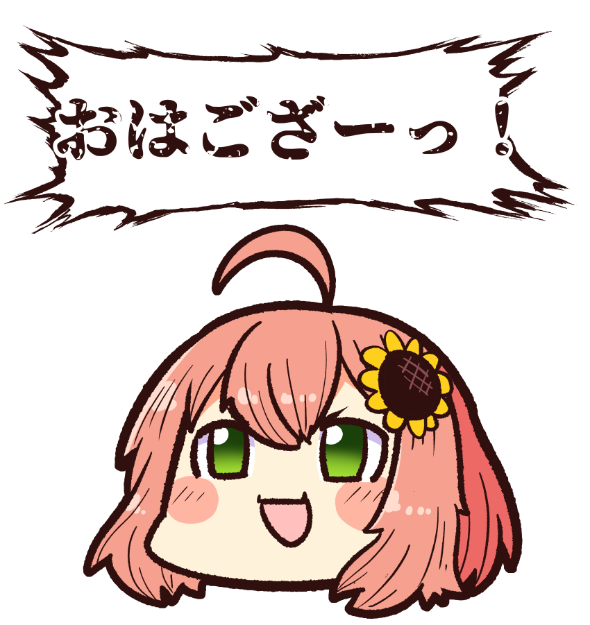 復ッ活ッッ！！本間ひまわり復活ッッ！！