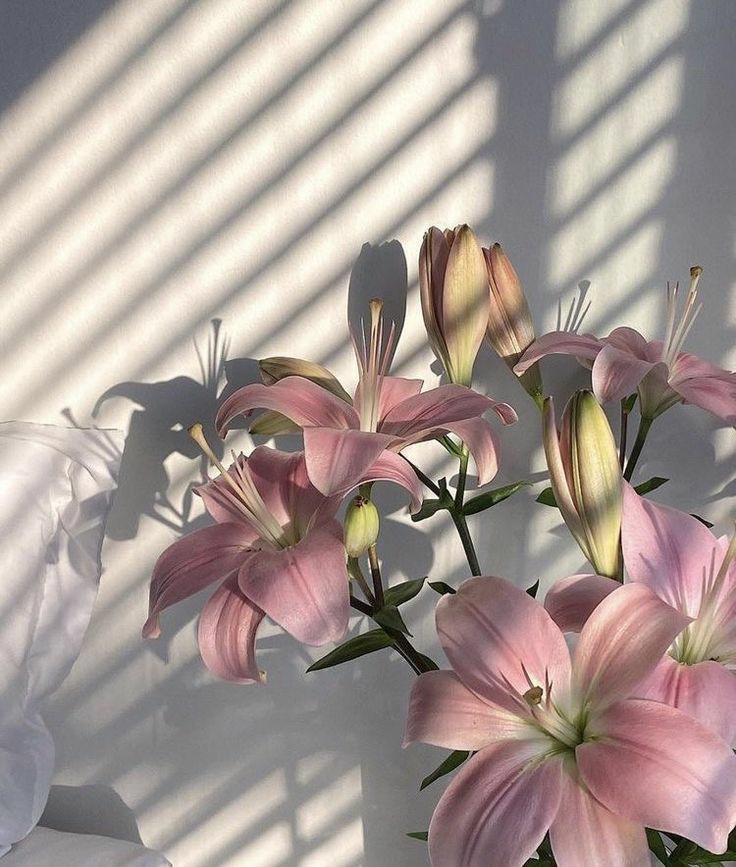 theprincessbtf's tweet photo. 𝐈 𝐝𝐨𝐧'𝐭 𝐰𝐚𝐧𝐭 𝐚 𝐩𝐞𝐫𝐟𝐚𝐜𝐭 𝐥𝐢𝐟𝐞; 𝐢 𝐰𝐚𝐧𝐭 𝐚 𝐡𝐚𝐩𝐩𝐲 𝐥𝐢𝐟𝐞.

ฉันไม่ต้องการชีวิตที่เพอร์เฟค แค่ชีวิตที่มีความสุข

#แคปชั่น #คำคม #แคปชั่นเด็ด #คําคมโดนๆ #แคปชั่นภาษาอังกฤษ #คําคมภาษาอังกฤษ #แคปชั่นความรู้สึก #คําคมความรู้สึก https://t.co/4jexvzgGpL