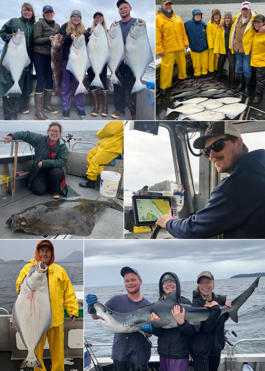 9-7-21: Catches to remember and a surprise passenger! #sitka #salmon #fish #fishing #alaska #sitkafishing #alaskafishing #fishinginsitka #fishinginalaska #wildstrawberrylodge #alaskapremiercharters #saltwaterfishing #familyfishing #halibut #rockfish #visitsitka #visitaalaska #ak
