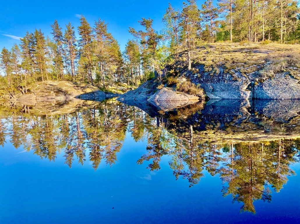 marmor alarm Snazzy Norske Skog (@Norske_Skog) / Twitter